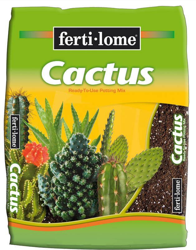 9937 4Qt Cactus And Succulent lnt Mix