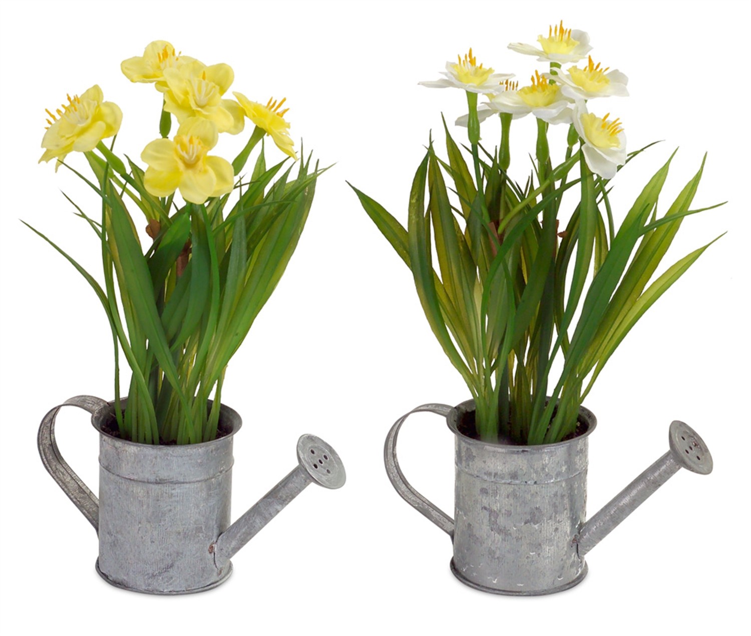 Daffodil in Watering Can (Set of 12) 9"H Metal/Plastic
