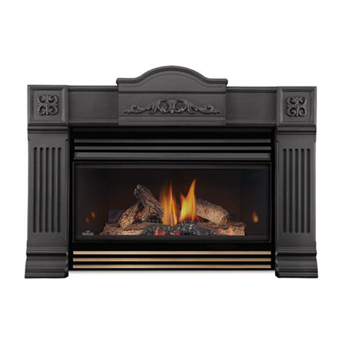 Napoleon Roxbury 3600 Direct Vent Millivolt Ignition Gas Fireplace Insert - GI3600-4NSB