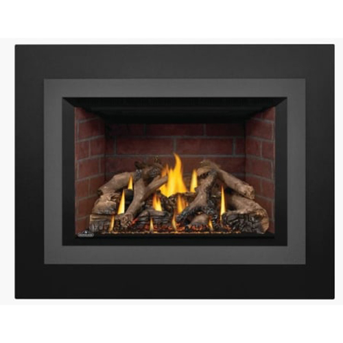 Napoleon OAKVILLE X4 Direct Vent Electronic Ignition Natural Gas Firebox Insert - GDIX4N