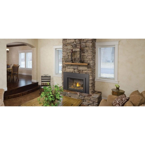 Napoleon OAKVILLE 3 Direct Vent Electronic Ignition Natural Gas Fireplace Insert - GDI3NE